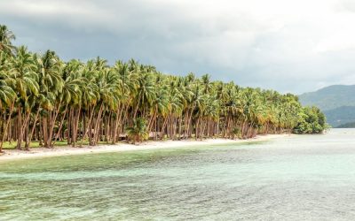 Qué hacer en Port Barton: nuestro pueblo en Palawan