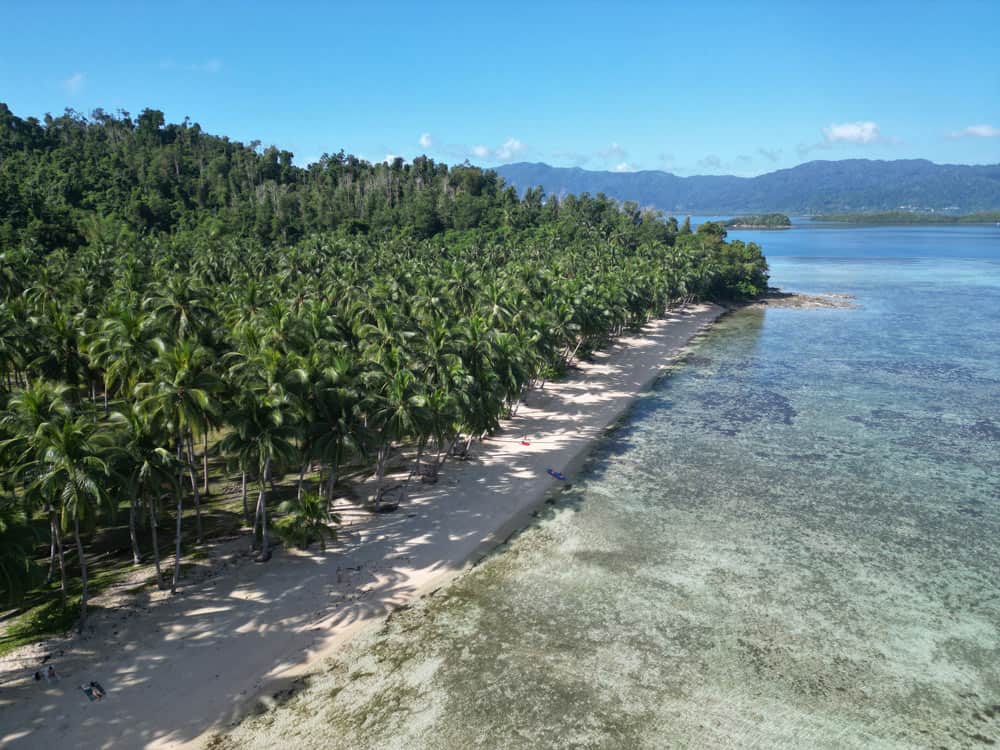 Playas que ver en Port Barton Coconut Beach