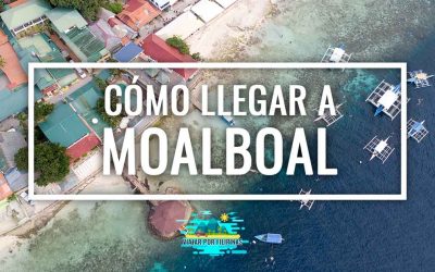 Cómo llegar a Moalboal