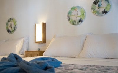 Dormir en Bohol: los mejores hoteles y zonas