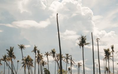 ¿Cuándo viajar a Filipinas?