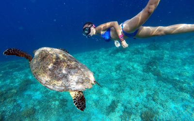 Los mejores sitios para hacer snorkel en Filipinas