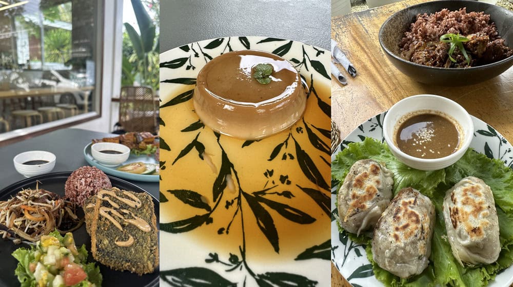 The Vegan Shack