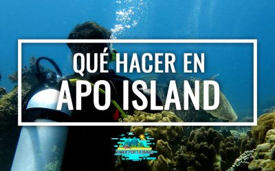 Qué ver y qué hacer en Apo Island