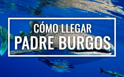 Cómo llegar a Padre Burgos
