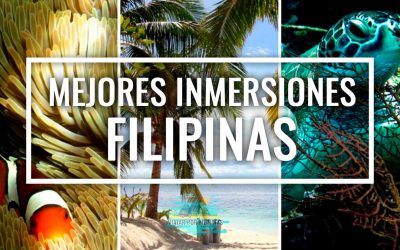 Las mejores inmersiones de Filipinas