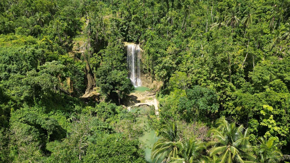 Kawasan Falls Bohol