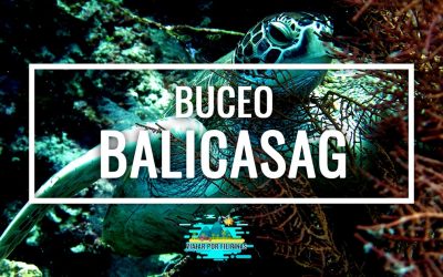 Buceo en Balicasag: guía y centro español recomendado
