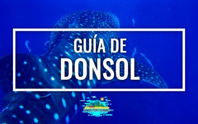 Guía de Donsol: qué hacer, cómo llegar y dónde dormir