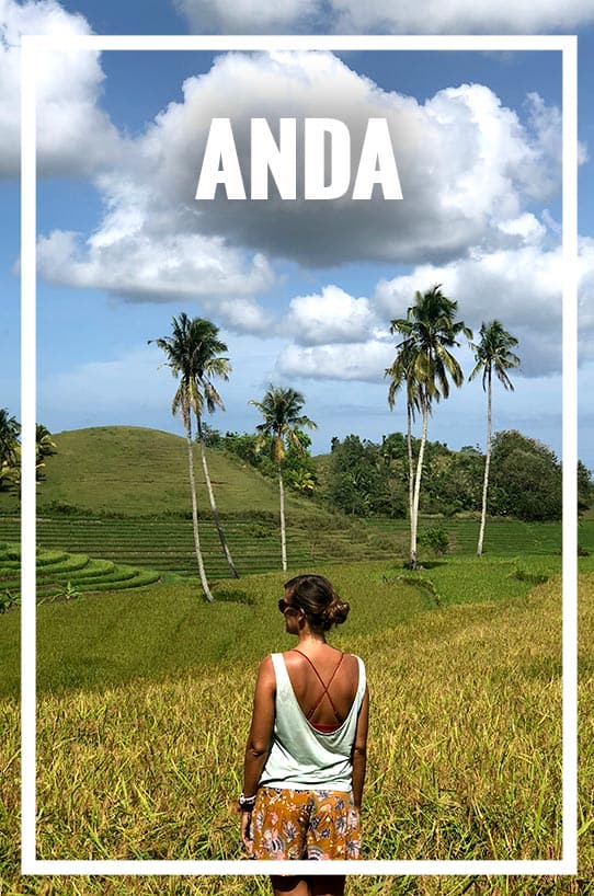 guía de Bohol, planes en Anda