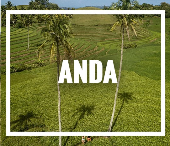 Guía de Anda