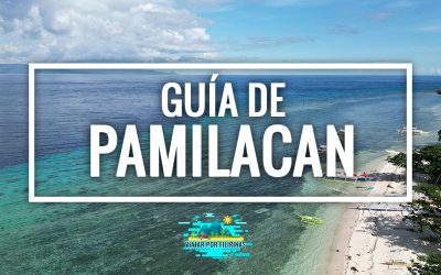 Qué hacer en Pamilacan (Bohol) – Guía completa