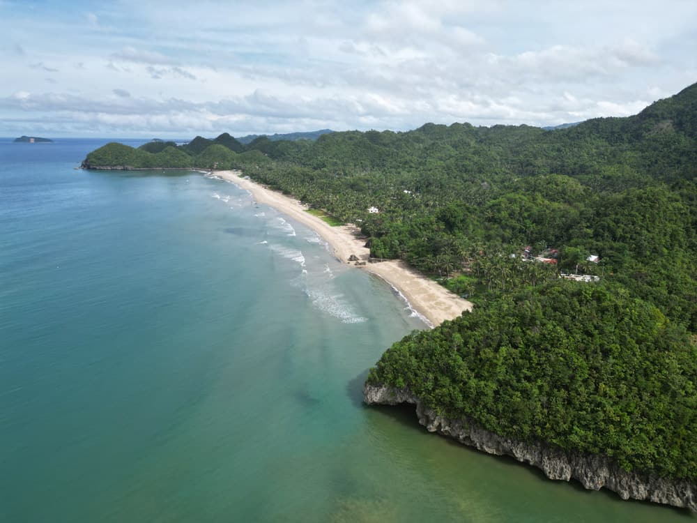 Alimanguan Beach San Vicente qué ver