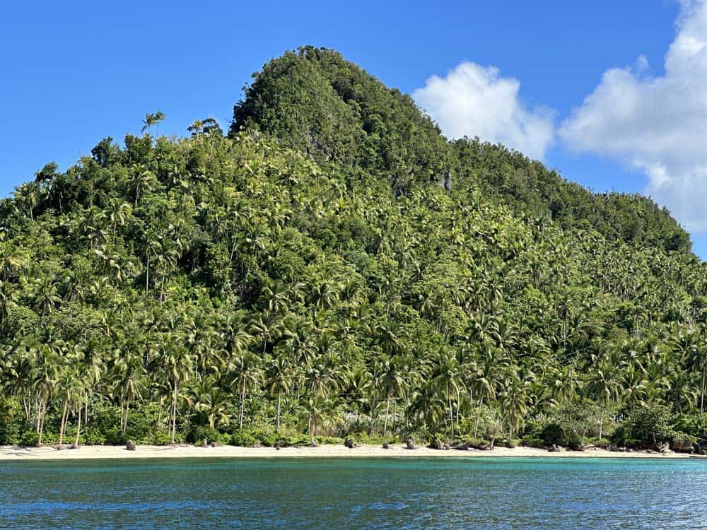 Dinagat