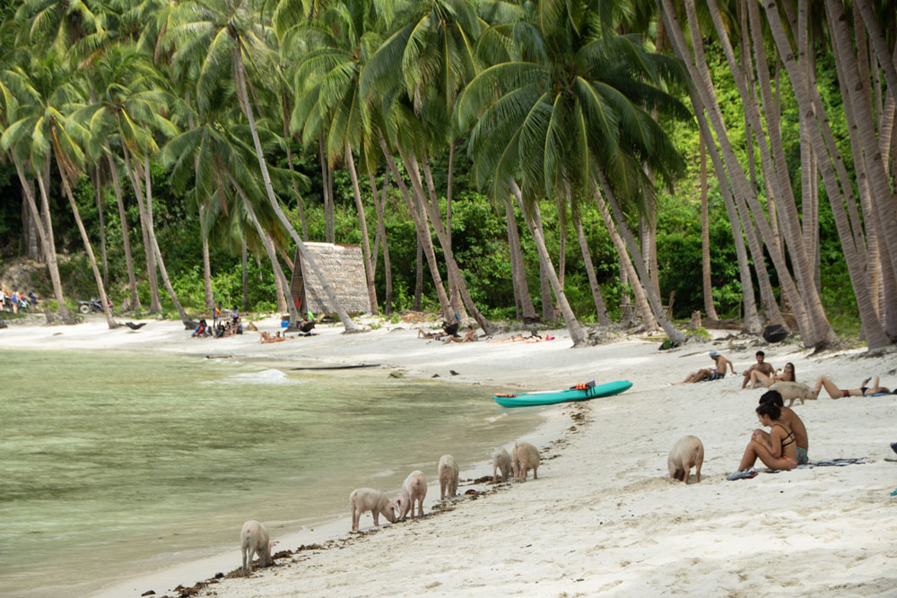 Coconut Beach (Port Barton)